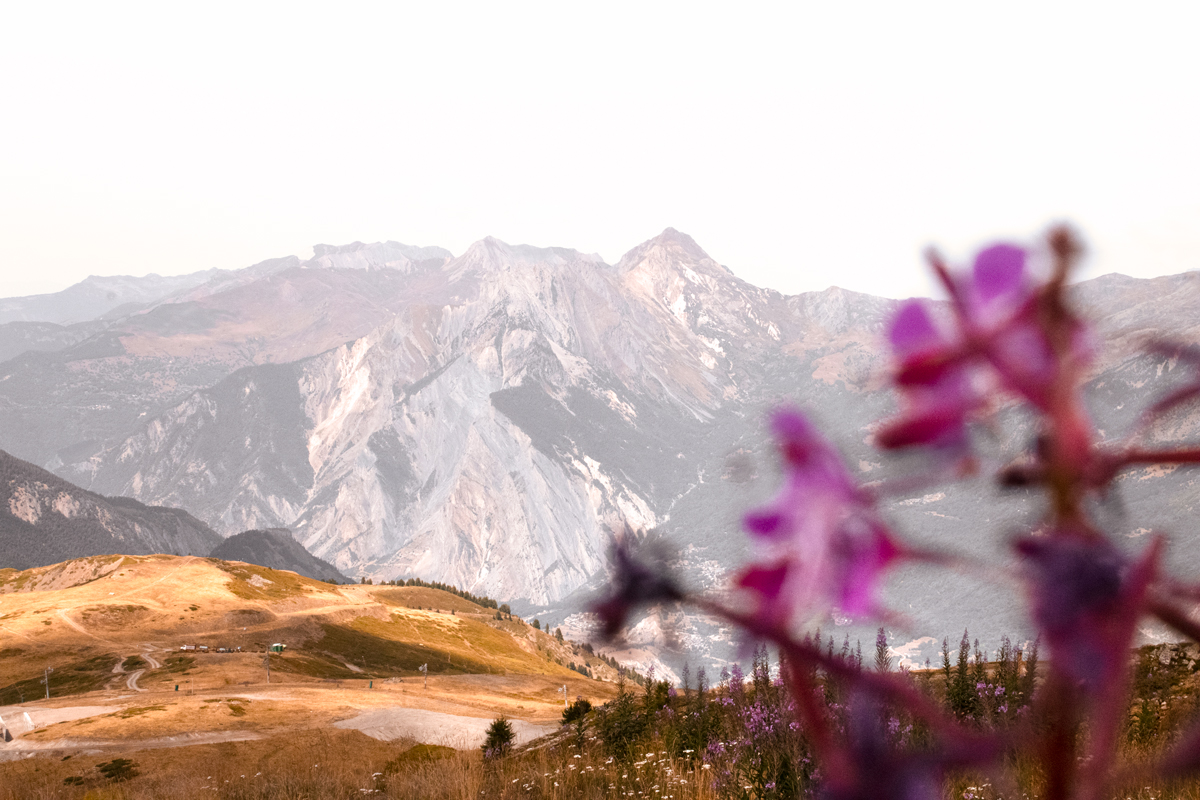 Photo montagne en floraison